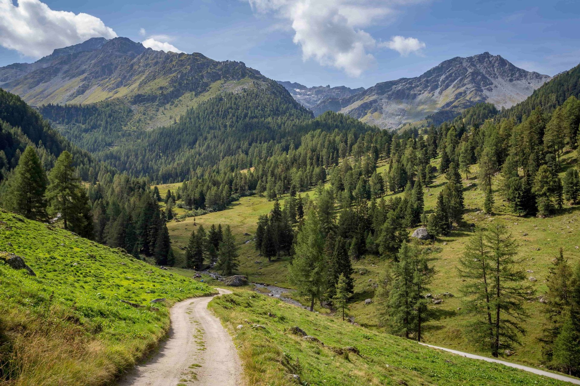 Sentier de randonnée l'été au-dessus de Siviez